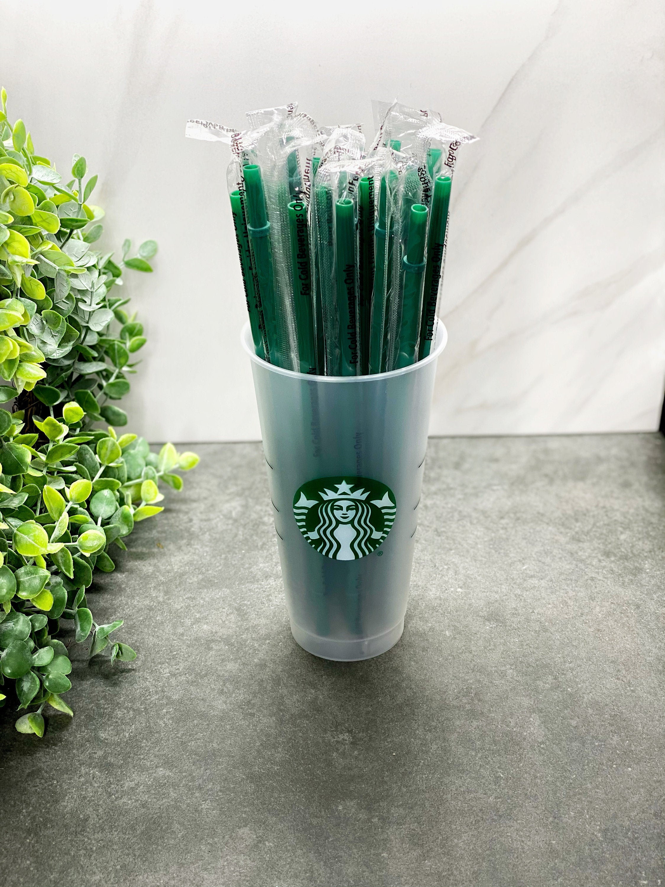 ADD ON ONLY Extra Straw Green Straw Starbucks Straw Etsy