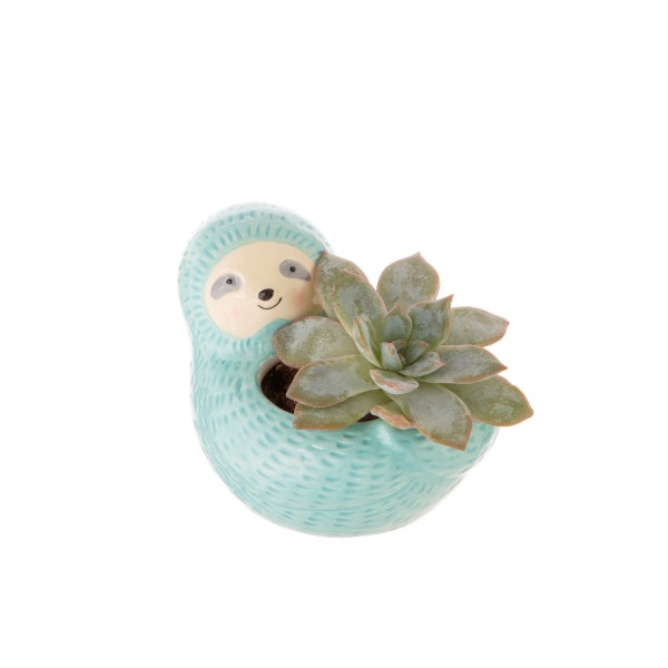 Cute Sloth Mini Indoor Planter Pot