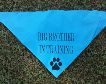 big brother in training dog bandana