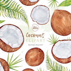 Clipart de coco en acuarela / Descarga de arte de fruta pintado a mano