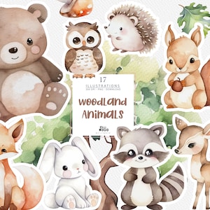 Clipart di animali del bosco in acquerello, baby shower, simpatico orso, volpe, coniglio, cervo, procione, gufo, riccio / PNG, decorazioni per la cameretta dei bambini, digitale, download