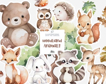 Woodland Animals Watercolor Clipart, Baby Shower, cute bear, fox, bunny, deer, raccoon, owl, hedgehog /PNG, Nursery Decor, Digital, Download