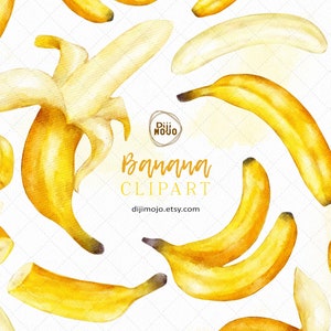Clipart banane aquarelle | Aquarelle tropicale peinte à la main art fruitier téléchargement