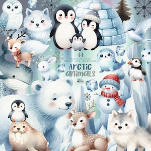 Clipart de animais do Ártico em aquarela - Animais fofos de inverno, pacote de PNG para chá de bebê, urso polar, pinguim e iglu