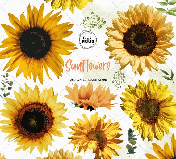 Download Sunflower Svg Sunflower Clipart Sunflowers Svg Files For Etsy