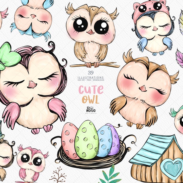 Cute Owl Clipart Owls graphics instant download