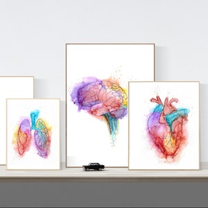 Digital Anatomy paintings - Medical Art - Set of 3 Anatomy Posters - Anatomy Download - Abstract Anatomy