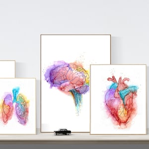 Anatomy paintings - Medical Art - Set of 3 Anatomy Posters - Alcohol Ink Set - Abstract Anatomy
