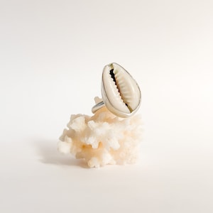 Handcrafted Large Cowrie Shell Ring | Beach Ring |One-of-a-kind Ring | Beach Jewelry | Natural and Real Shell Ring | Beach Wedding