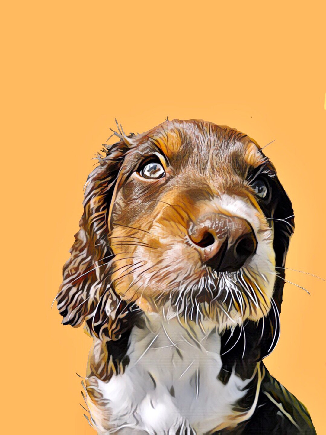 Pet Cartoon Print