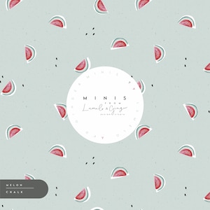May include: A light blue background with a white circle containing the text "MINIS FROM Lumelo & Ginger DESIGN STUDIO". The background is filled with a repeating pattern of pink and green watermelon slices.