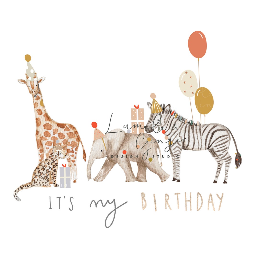 Bande, Birthday, Happy Birthday, Safari, Party Hat, PNG Sublimation