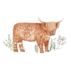 Puede incluir: Pintura acuarela de una vaca Highland marrón de pie en un campo de flores blancas y moradas. La vaca está mirando hacia el lado izquierdo de la imagen. Las flores están en el fondo y en primer plano de la imagen.