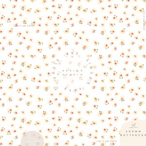 May include: A white background is covered with a pattern of small, watercolor-style buttercup flowers in shades of yellow and pink. The design includes text that reads "Lumilo and Ginger Design Studio 2026" and "200mm Buttercup."