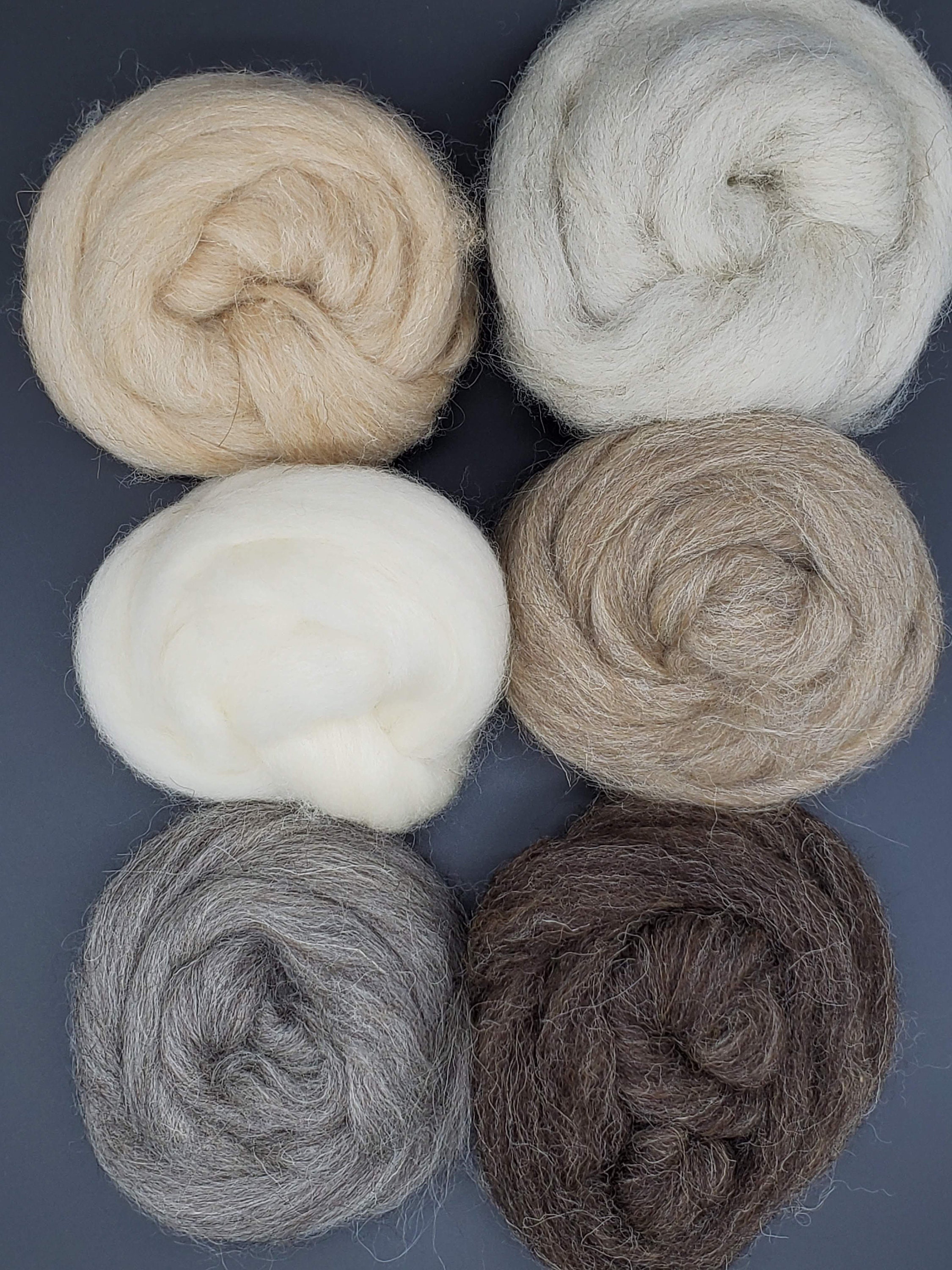 Plant Dyed Wool for Needle Felting (Earth Tones) – Mouse in the