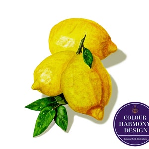 Impresión artística de limones / Decoración de cocina / Pintura botánica en acuarela 9 x 9
