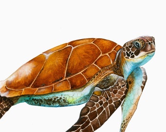 Sea Turtle Painting | Watercolor Painting | Kids Room decor 9 x 12