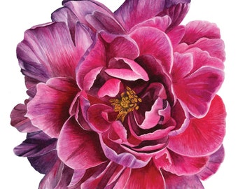 Peony Watercolor Painting | Peony Art Print | Botanical Wall Art 9x12