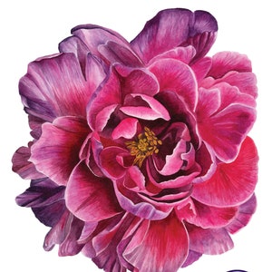 Peony Watercolor Painting | Peony Art Print | Botanical Wall Art 9x12