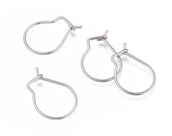 10 Pairs (20 Pcs) 13mmx18mm  Stainless Steel Earring Hooks, Ear Wires