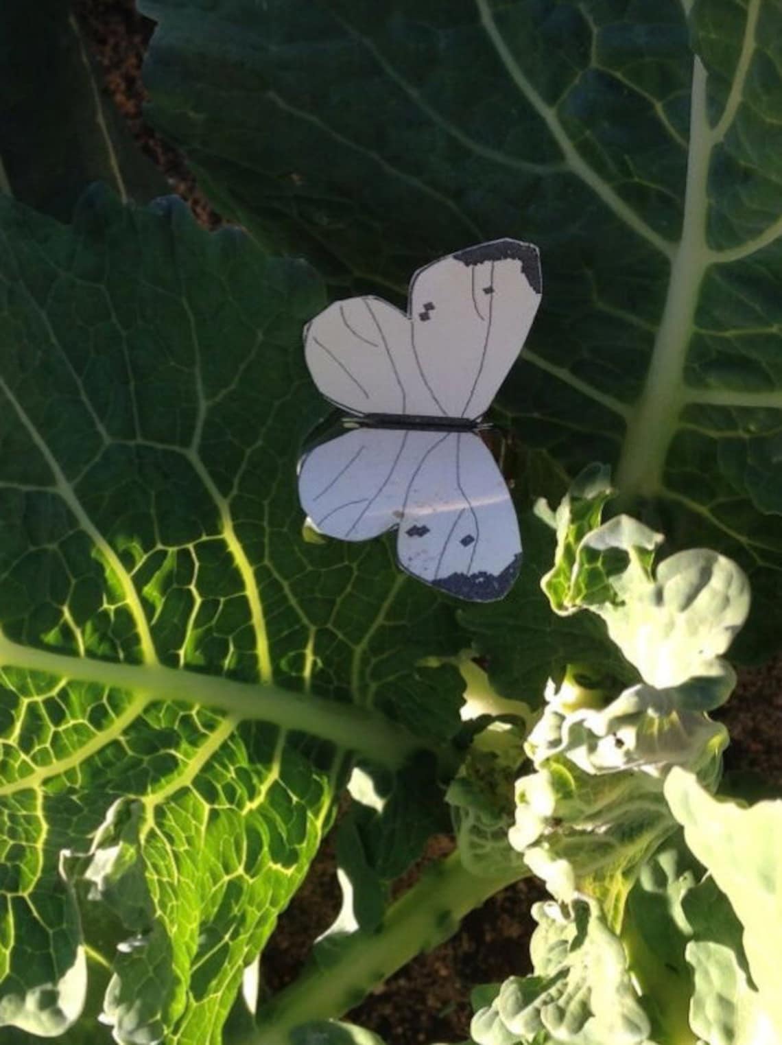 Cabbage White Butterfly Decoys Etsy