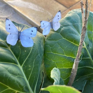 May include: A rustic wooden sign with the text "Welcome to our home" in a handwritten style. The sign features a distressed finish and a simple, inviting design, perfect for a front porch or entryway.