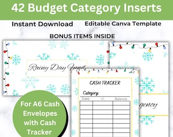 Budget Binder Category Insert label dashboard, cash envelope stuffing, budget Binder, sinking fund, A6 cash tracker, editable Canva template