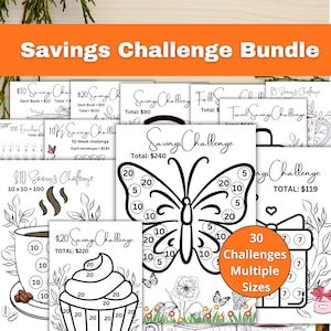 Low Income Savings Challenge Bundle, A6 Budget Planner Printable, Savings Tracker Book