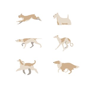 May include: Six different dog breeds illustrated in a simple, flat style. The dogs are all white with brown markings and are shown in various poses.