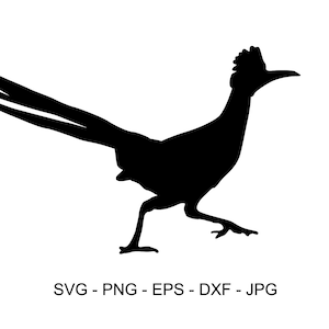 Roadrunner Svg, Bird Svg, Roadrunner Sublimation Design, Digital Download, Instant Download