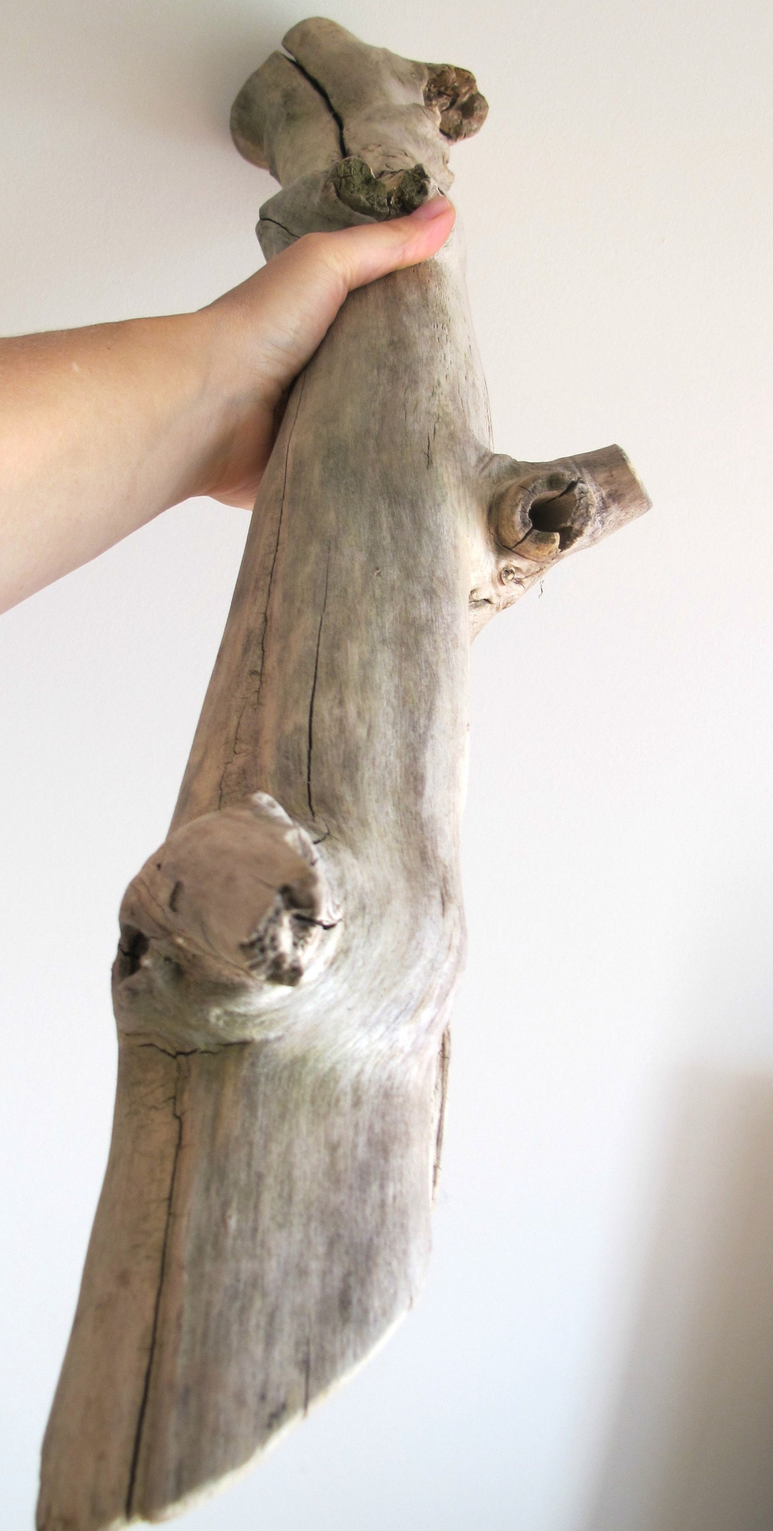 Large chunky solid driftwood piece for your house or garden Etsy