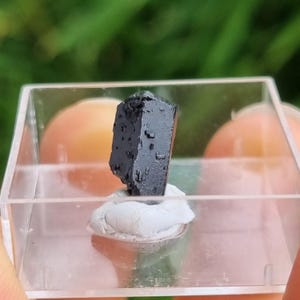May include: A small, elongated black mineral crystal with a faceted, reflective surface texture. The crystal is held upright by a white, malleable adhesive base inside a clear, square plastic display box with transparent walls.
