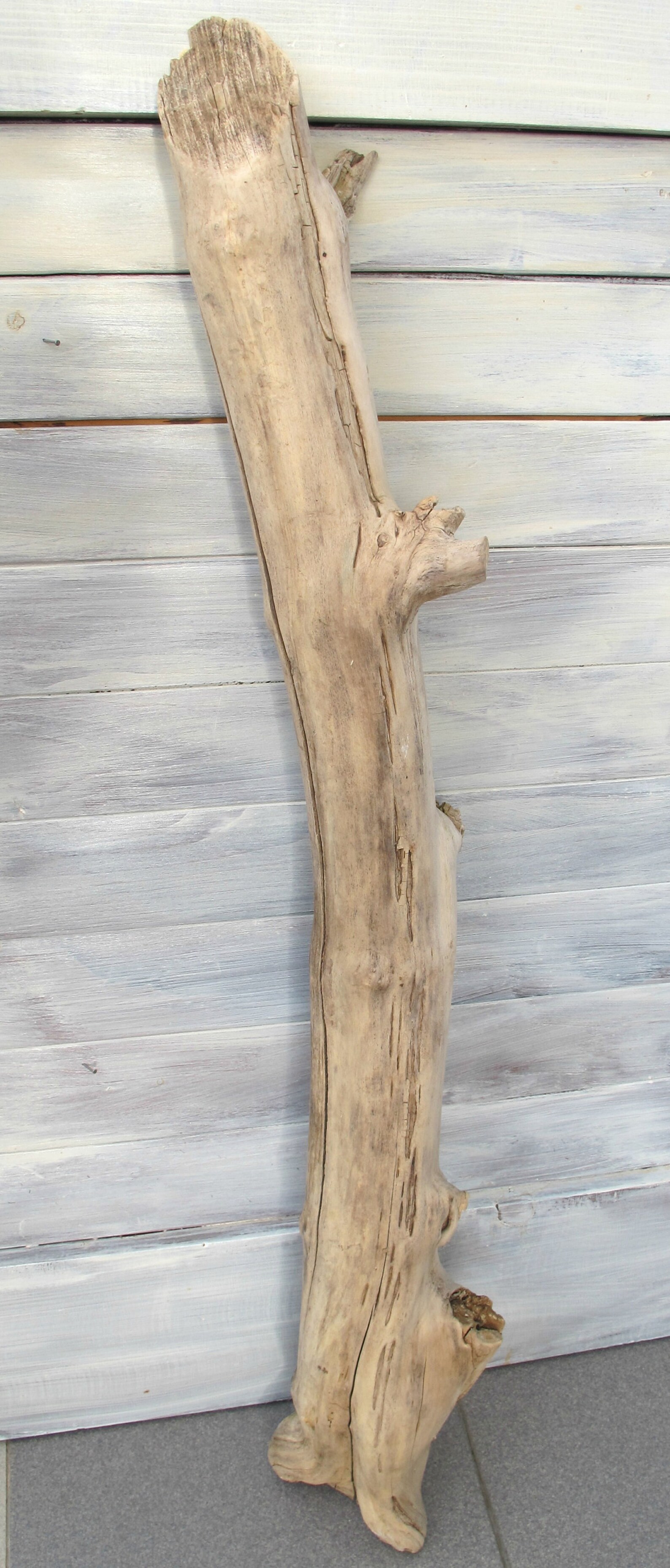 Large chunky solid driftwood piece for your house or garden Etsy