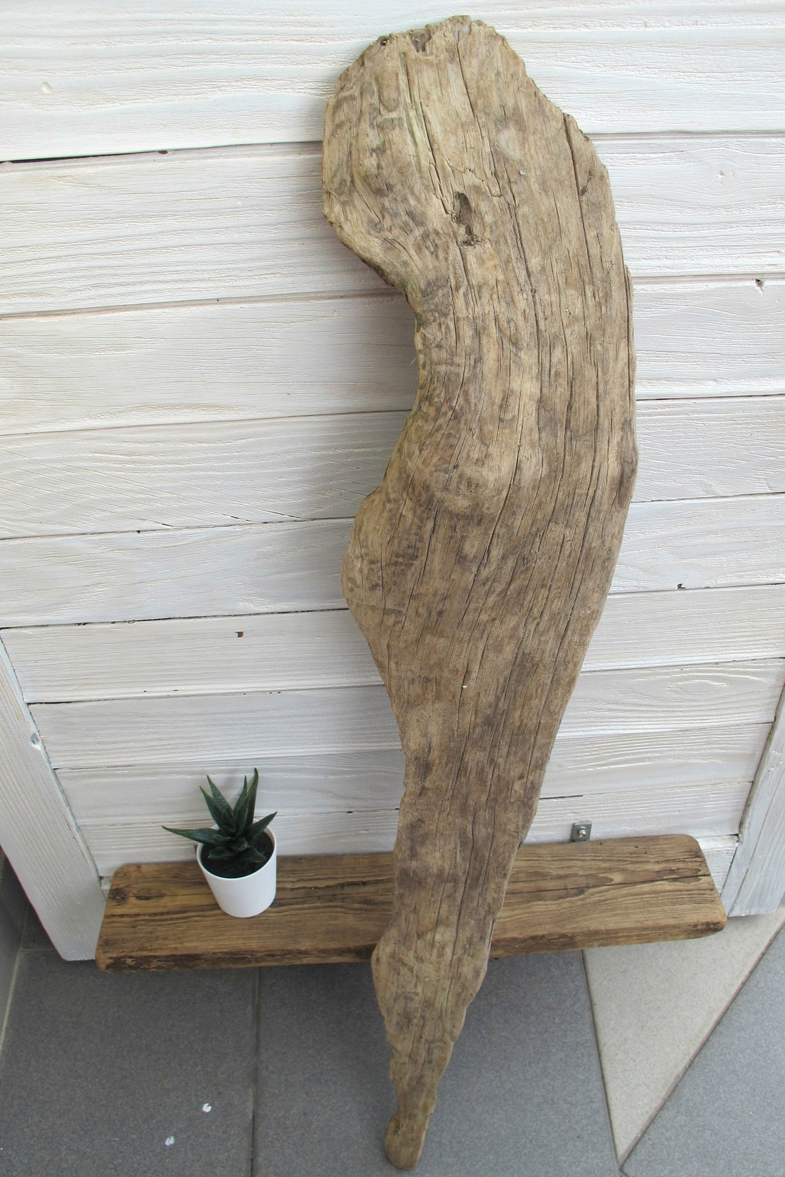 32 82cm Hard and solid Freshwater flat driftwood Etsy