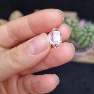 Pode incluir: Um cristal de quartzo transparente de dupla terminação com múltiplas facetas. O cristal é segurado em uma mão, com um fundo desfocado de plantas. O quartzo parece ser de cor rosa pálido e reflete a luz.
