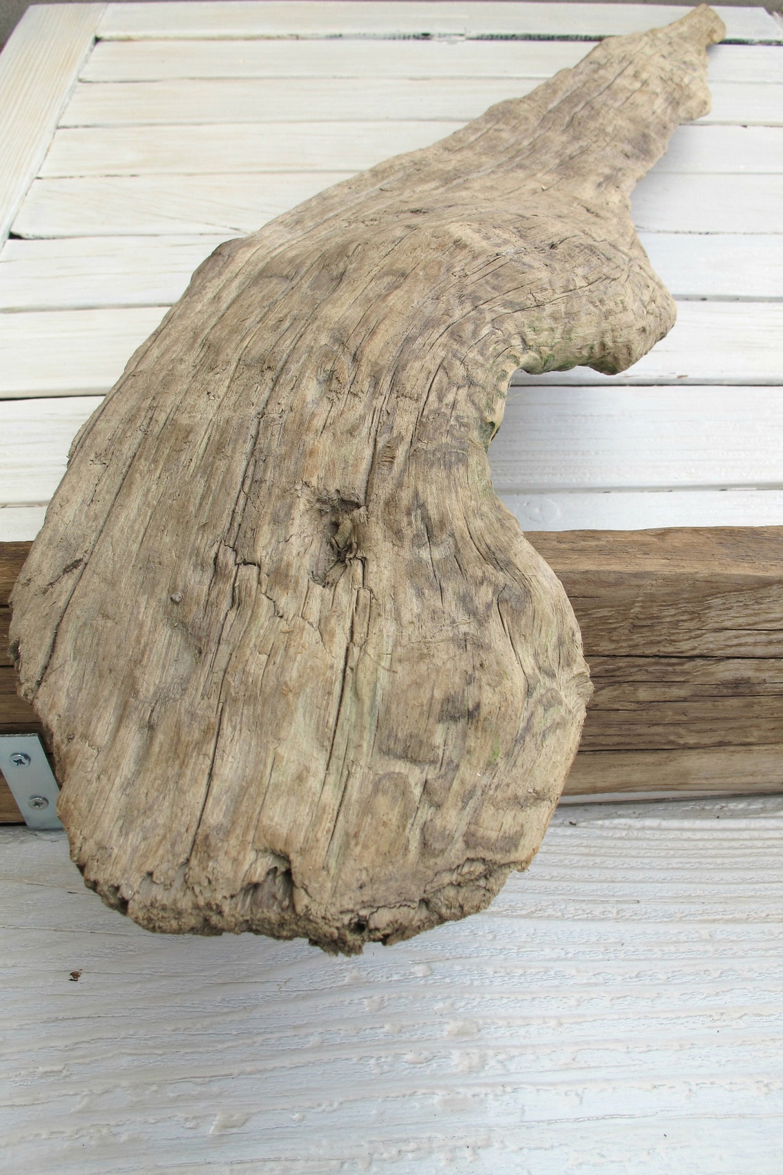 32 82cm Hard and solid Freshwater flat driftwood Etsy