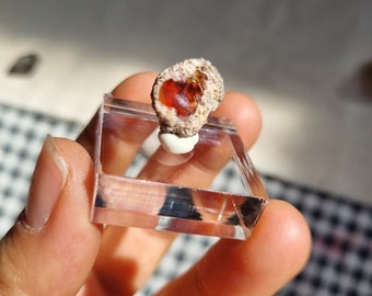 Gorgeous color fire opal from Hosszu Hill, Hungary. Great piece for your collection