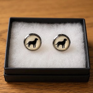 Labrador - platina oorknopjes - presentatiedoos - cadeau