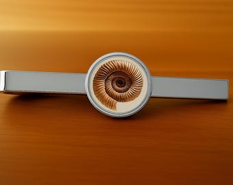 Ammonite Fossil  Clip Bar  - 16mm Glass Cabochon Lens - Rhodium Plated Quality.