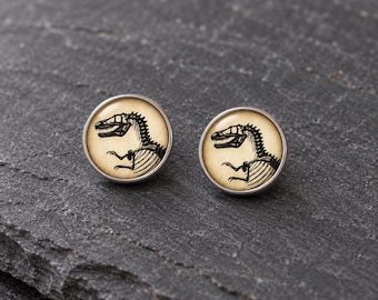 Könnte beinhalten: Ein Paar runde Ohrstecker mit einer schwarz-weißen Illustration eines Dinosaurierskeletts auf cremefarbenem Hintergrund, eingefasst in einen glatten, silberfarbenen Metallrahmen mit polierter Oberfläche und einer klaren, leicht gewölbten Oberfläche.