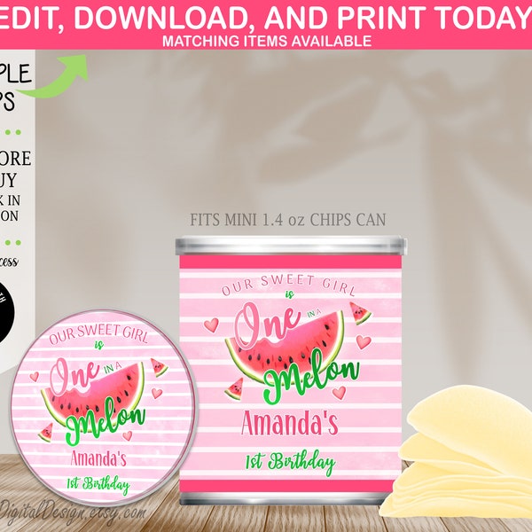 Editable One in a Melon Mini Chip Can Labels Watermelon Party Favors One in a Melon First Birthday Pringle Can Labels Instant Download 04CC