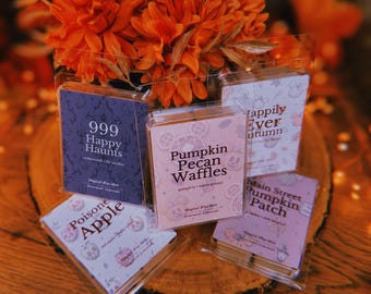 Autumnal Magical Inspired Wax Melts | Theme Park Inspired Home Fragrance | Choose Your Scent