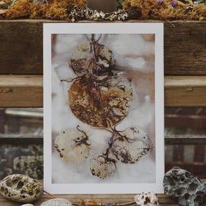 PRINT of Eucalyptus Leaf Nature Art