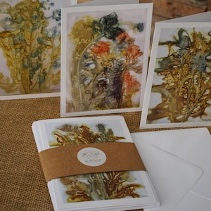 Tarjetas impresas con motivos de la naturaleza (juego de 6)
