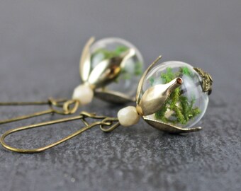 May include: A pair of gold earrings with clear glass orbs containing preserved green moss. Each orb is attached to a gold-toned hook with a white pearl bead.