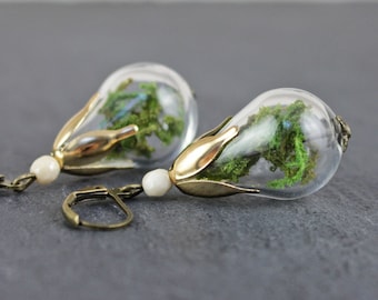 May include: A pair of dangle earrings with clear glass teardrop-shaped pendants filled with preserved green moss. The pendants are accented with gold-toned metal and white pearl-like beads.