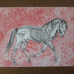 Cantering Wild Horse Skeleton