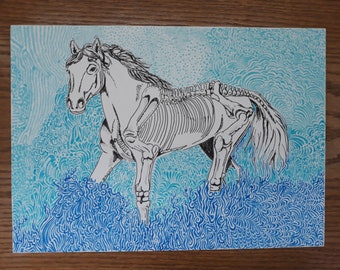 Wild Horse Mustang, Skeleton, Original Art Drawing