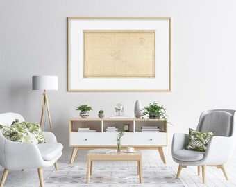 Anguilla Morena Etsy