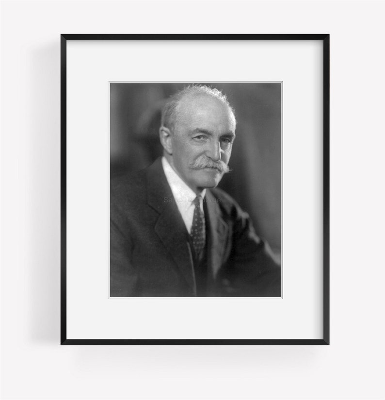 Photo Gifford Pinchot 18651946 Chief of US Forest Service Etsy